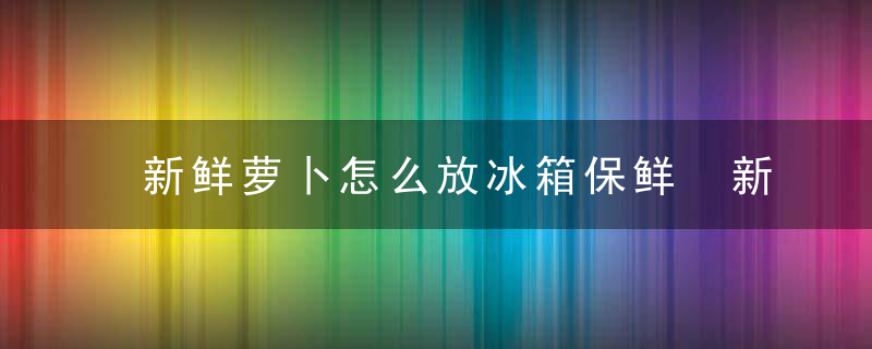 新鲜萝卜怎么放冰箱保鲜 新鲜萝卜如何放冰箱保鲜